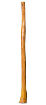 Gloss Finish Flared Didgeridoo (TW1264)